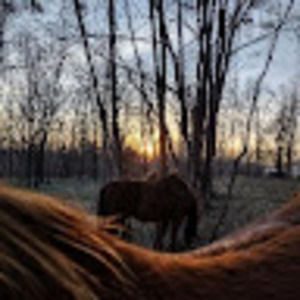 Meet your Posher, Juliana